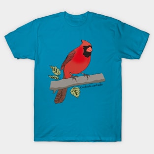 Northern cardinal T-Shirt